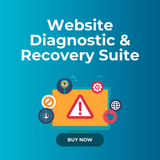 Website Diagnostic & Recovery Suite